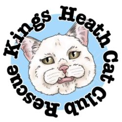 103996001_155257439378192_1752105751178973391_n-250x250