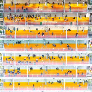 6905576f5f1c08eb02fab297b85c723f-300x300