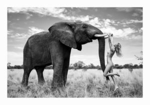 741998ccd96bdde46d54f30cd2fdd19c-300x210