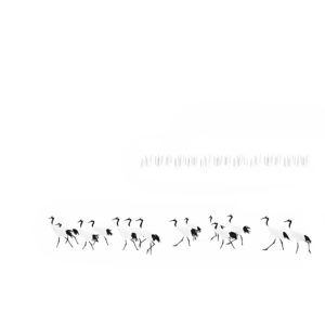 869d82b9476e316cf73fa27c0ad15dc8-300x300