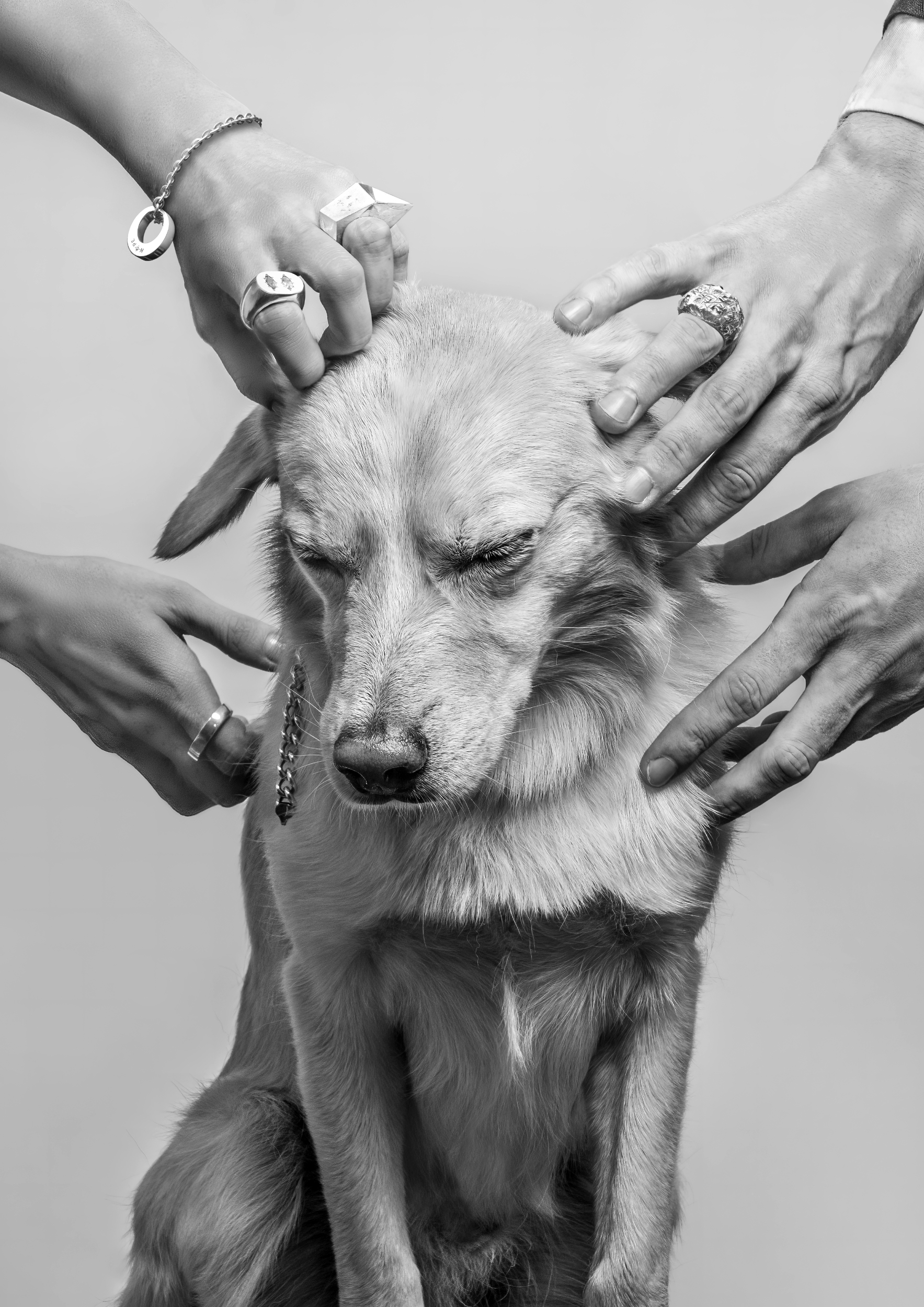 plakatzKlausem2 boat hire on film