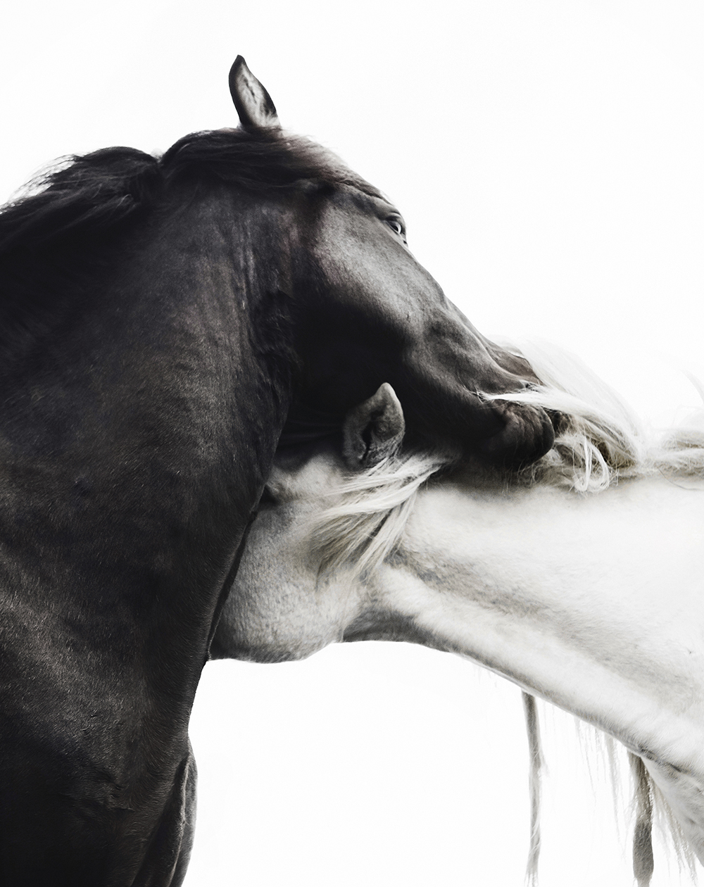 Hugs boat hire on film